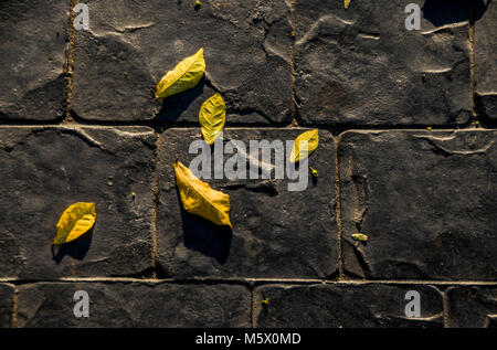 Brick wall background for 3D texture. Stock Photo