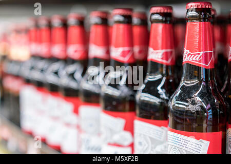 Kiev, Ukraine. February 18 2018. Shelf with beer'Bud'. Stock Photo