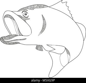 Doodle art illustration of a barramundi or Asian sea bass (Lates calcarifer), a species of catadromous fish jumping in black and white done in mandala Stock Vector