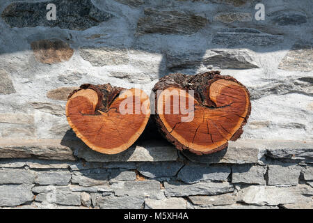 Two heart-shaped wood trunks, hearts of wood, Canton Ticino, Switzerland Stock Photo