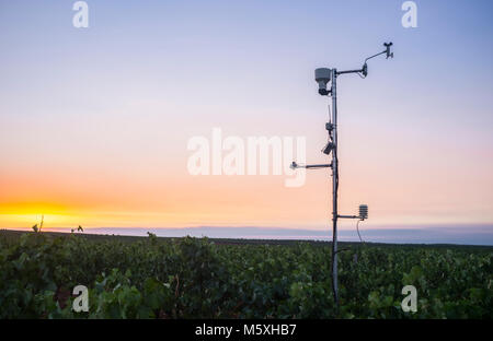 Drive weather recording instruments in a vineyard at Tierra de Barros Region. Extremadura, Spain. smart farm technology concept Stock Photo