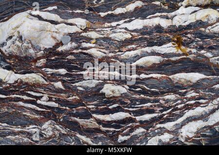 Abstract Photo of Beautiful Metamorphic Slate at Hope Cove, South Devon, UK. Geological Close Up. Stock Photo