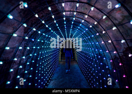 Light Tunnel at New Plymouth Park Stock Photo