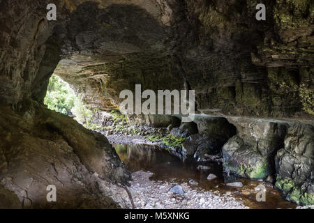 Huge Cave in New Zealand, Oparara Arches Stock Photo