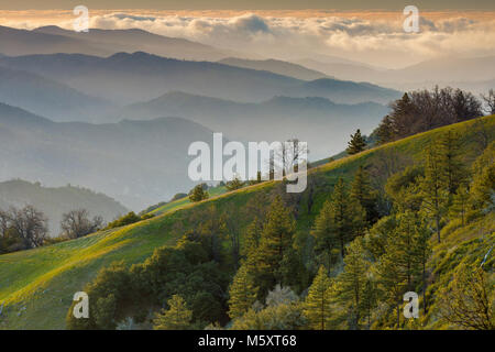 Last Light, Ventana Wilderness, Los Padres National Forest, Big Sur, Monterey County, California Stock Photo