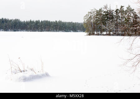 Snow covered woodland lake with island. Blekinge in southern Sweden. Stock Photo