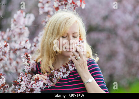 Portrait of Caucasian woman with long blond hair smelling a blossoming bunch of plum tree, eyes down Stock Photo