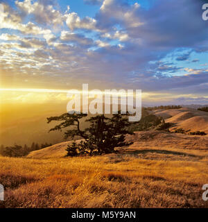 Sunset, Bolinas Ridge, Mount Tamalpais State Park, Golden Gate National Recreation Area, Marin County, California Stock Photo