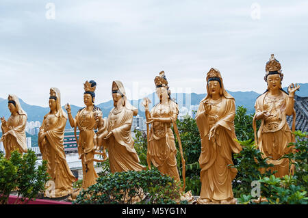 Golden Buddha statues along the stairs leading to the Ten Thousand Buddhas Monastery and landscape with green trees in the background in Hong Kong. Ho Stock Photo