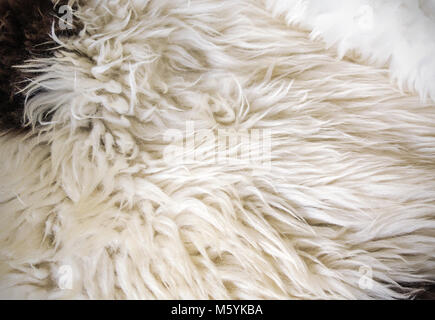 Sheepskin texture Stock Photo