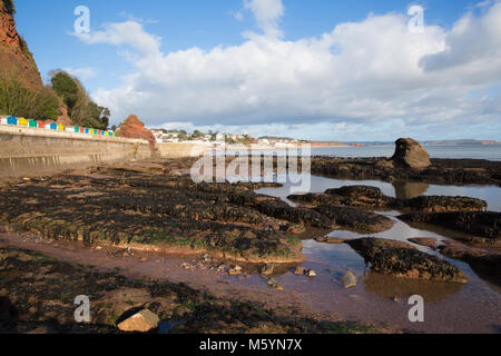 Rock pools and view to Dawlish Devon England uk English coast town Stock Photo