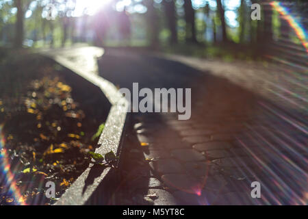 Empty road  in sun light on sunset. Paved pavement Stock Photo