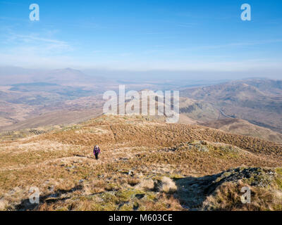 Female hill walker on the climb to Allt-Fawr from the Crimea Pass near Blaenau Ffestiniog, in Snowdonia's Moelwyn mountains. Stock Photo