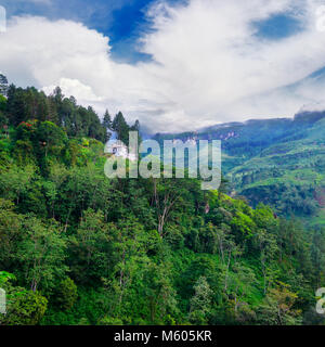 Mountain overgrown tropical forest in central part of the island of Sri Lanka. Stock Photo