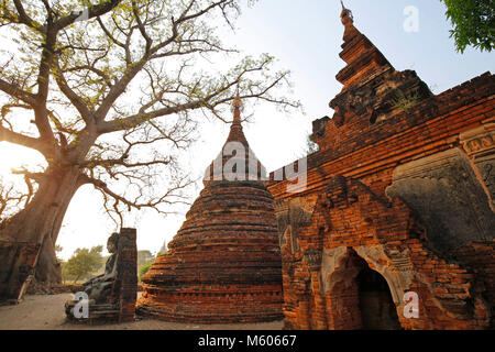 Old temple ruins, aged statue of a sitting Buddha and a big tree at the Yadana Hsemee Pagoda complex in Inwa (Ava) near Mandalay in Myanmar (Burma). Stock Photo