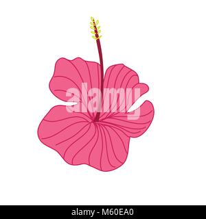 Pink Hibiscus Tropical Flower Hand Drawn Illustration Stock Vector