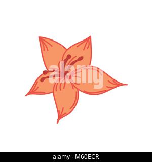 Orange Tropical Flower Hand Drawn Illustration Stock Vector