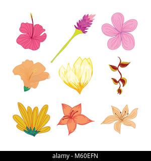 Various Tropical Flowers Hand Drawn Illustration Set Stock Vector