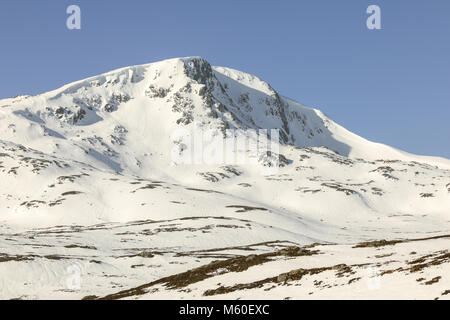 Glen Affric (Scottish Gaelic: Gleann Afraig) is a glen, or valley, in the Highland region of Scotland, some 15 miles (24 km) to the west of Loch Ness. Stock Photo