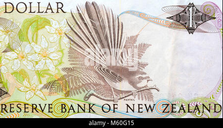 New Zealand One 1 Dollar Bank Note Stock Photo