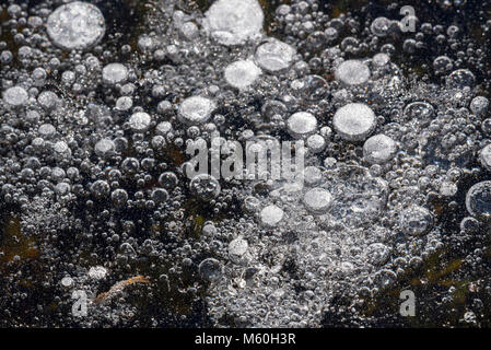 Frozen air bubbles in natural ice of pond / lake in winter Stock Photo