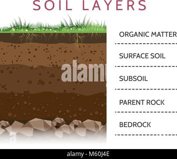 Dirt layers. Soil layer scheme with grass and roots, earth texture and stones vector illustration Stock Vector