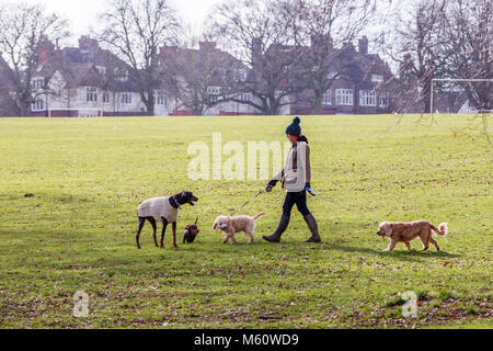 Northampton, England, Abington Park. U.K. Weather. 27th February 2018. The Beast from the East hasn't arrived in Northampton yet, a couple of light flurries of snow during the morning but nothing laying, temperatures are around 0 deg's late morning with some sunny periods for people walking their dogs Credit: Keith J Smith./Alamy Live News Stock Photo