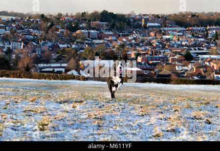 Ashbourne, Derbyshire, UK. 27th February, 2018. UK Weather: Boarder Collie dog having fun running in the Beast From The East Polar snow covered field above Ashbourne Derbyshire the gateway to the Peak District National Park Credit: Doug Blane/Alamy Live News