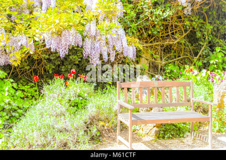 bench surrounded by springly flowers Stock Photo