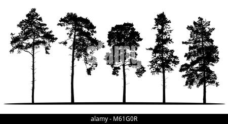 Set of realistic vector silhouettes of coniferous trees - isolated on white background Stock Vector