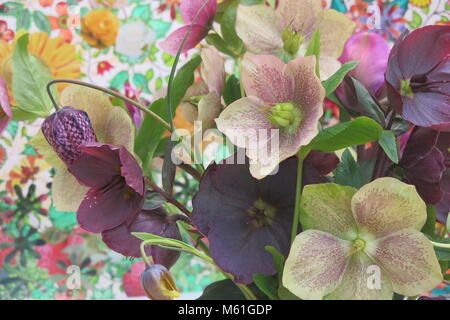 Freshly picked, pink and purple hellebores and fritillaria against a coloured-in flowery picture Stock Photo