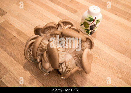 Oyster mushrooms on a brown wooden shelf background. Ripe bunch of mushrooms Stock Photo