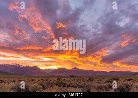 Sunset, Mono Basin National Forest Scenic Area, Inyo National Forest, Eastern Sierra, California
