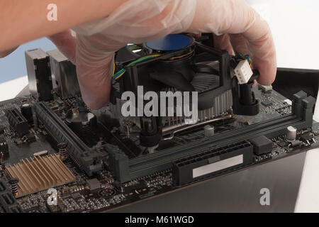 Close up of man hands installing CPU cooler fan on new, modern  motherboard. Stock Photo