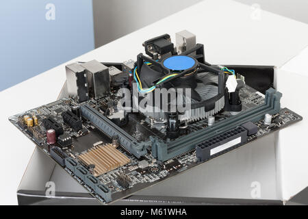 CPU cooler fan is installing on new, modern motherboard. Stock Photo