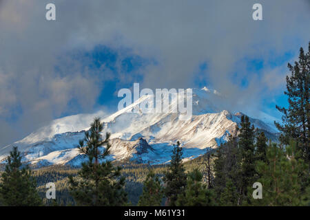 Mount Shasta, Shastina, Shasta-Trinity National Forest, California Stock Photo