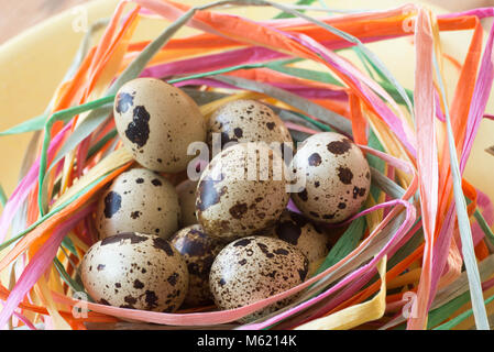 easter decoration with qail eggs in nest Stock Photo