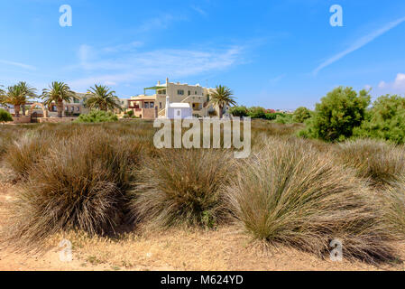 Grass on western coast of Naxos with typical Greek seaside building in background. Naxos island. Cyclades, Greece Stock Photo