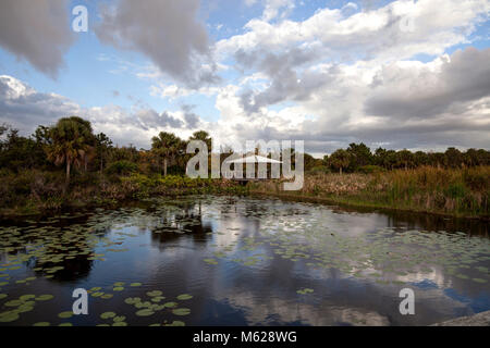 Sunset over Gazebo on a wooden secluded, tranquil boardwalk along a marsh pond in Freedom Park in Naples, Florida Stock Photo