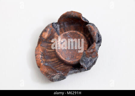 Recovered fired bullet showing expansion, aka expanding bullets (dumdum bullets) Stock Photo