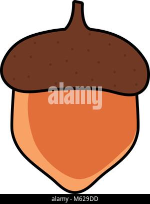 colorful acorn over white background vector illustration Stock Vector