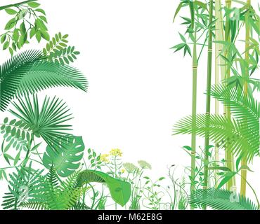 Exotic plants banner, illustration Stock Vector