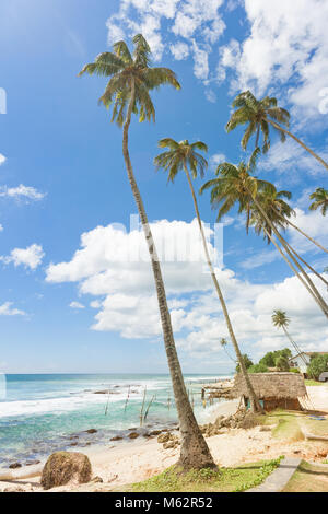 Koggala Beach, Sri Lanka, Asia - A small traditional house within palm trees at Koggala Beach Stock Photo