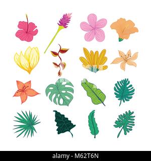 Decorative Tropical Flower And Leaves Hand Drawn Vector Illustration Design Stock Vector