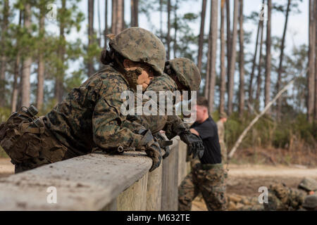 U.S. Marine Corps Recruits with Papa Company, 4th Recruit Training Battalion, climb over a wall on the Day Movement Course during Basic Warrior Training at Paige Field on Marine Corps Recruit Depot, Parris Island, S.C., February 7, 2018. Basic Warrior Training is designed to teach the importance of teamwork, working under stress and how to perform well while utilizing small unit leadership. (U.S. Marine Corps Stock Photo