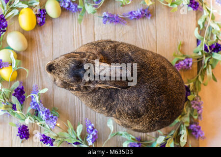 Gray Easter bunny rabbit with purple spring lilac flowers and eggs on wooden board, top view Stock Photo