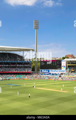 Test cricket match at Sydney Cricket Ground, Sydney, New South Wales, Australia Stock Photo