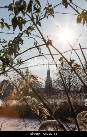 London, UK. 28th February 2018. UK weather, snow in Stoke Newington. St MAry's church seen through snow covered plants in Clissold Park. Credit: Carol Moir/Alamy Live News. Stock Photo