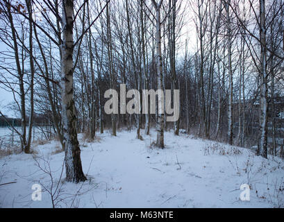 Edinburgh, Scotland, UK. 28th February, 2018. A photograph of the snow fallen on the ground during the Red Alert Weather Warning. Credit: Iscotlanda/Alamy Live News Stock Photo