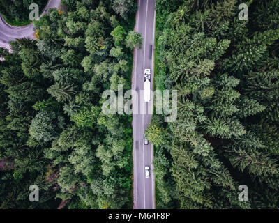 Truck passing on road trough a forest Stock Photo